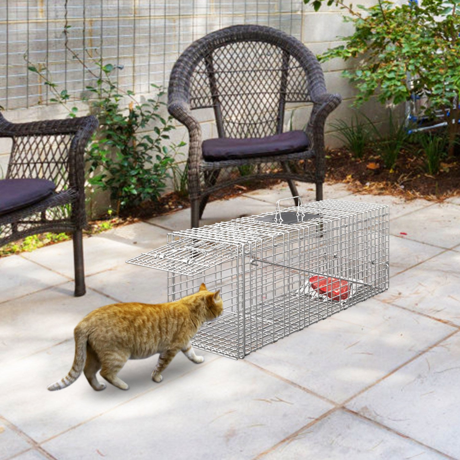 1Pc Humane Cat Trap Cage Catch Release Live Animal Rodent Cage Collapsible Galvanized Wire For Raccoons Beavers Groundhogs Foxes Armadillos Fedex Shipping