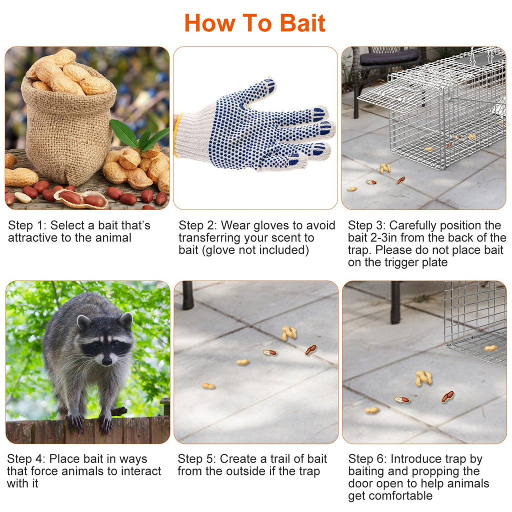 1Pc Humane Cat Trap Cage Catch Release Live Animal Rodent Cage Collapsible Galvanized Wire For Raccoons Beavers Groundhogs Foxes Armadillos Fedex Shipping