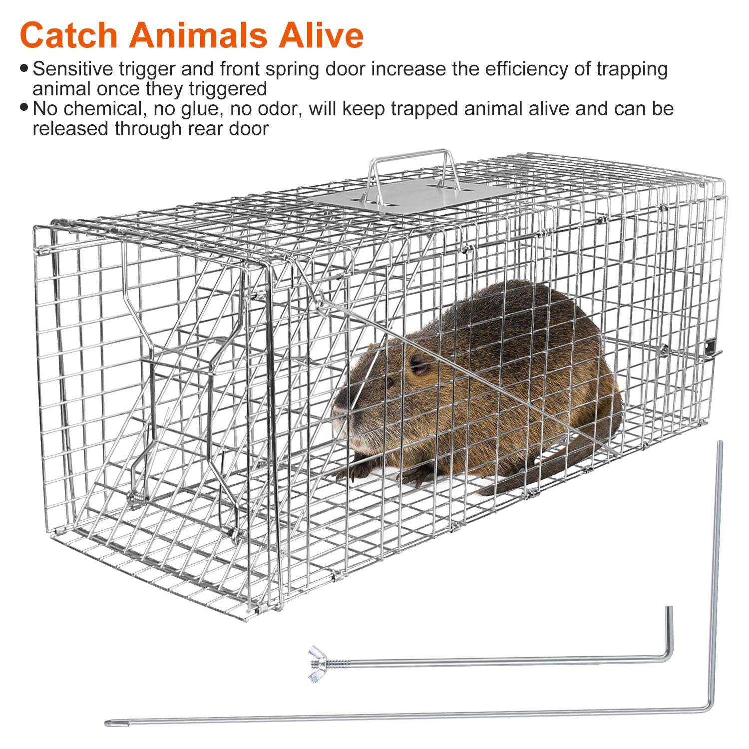 1Pc Humane Cat Trap Cage Catch Release Live Animal Rodent Cage Collapsible Galvanized Wire For Raccoons Beavers Groundhogs Foxes Armadillos Fedex Shipping