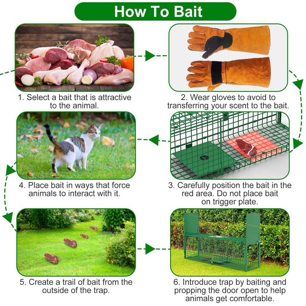32in 2 Door Live Animal Cage Trap With Glove Green For Animals Under 12LBS Easy To Setup Humane Galvanized Iron Trap Cage For Rabbits Groundhogs Skunk Opossums Nutria Stray Cats