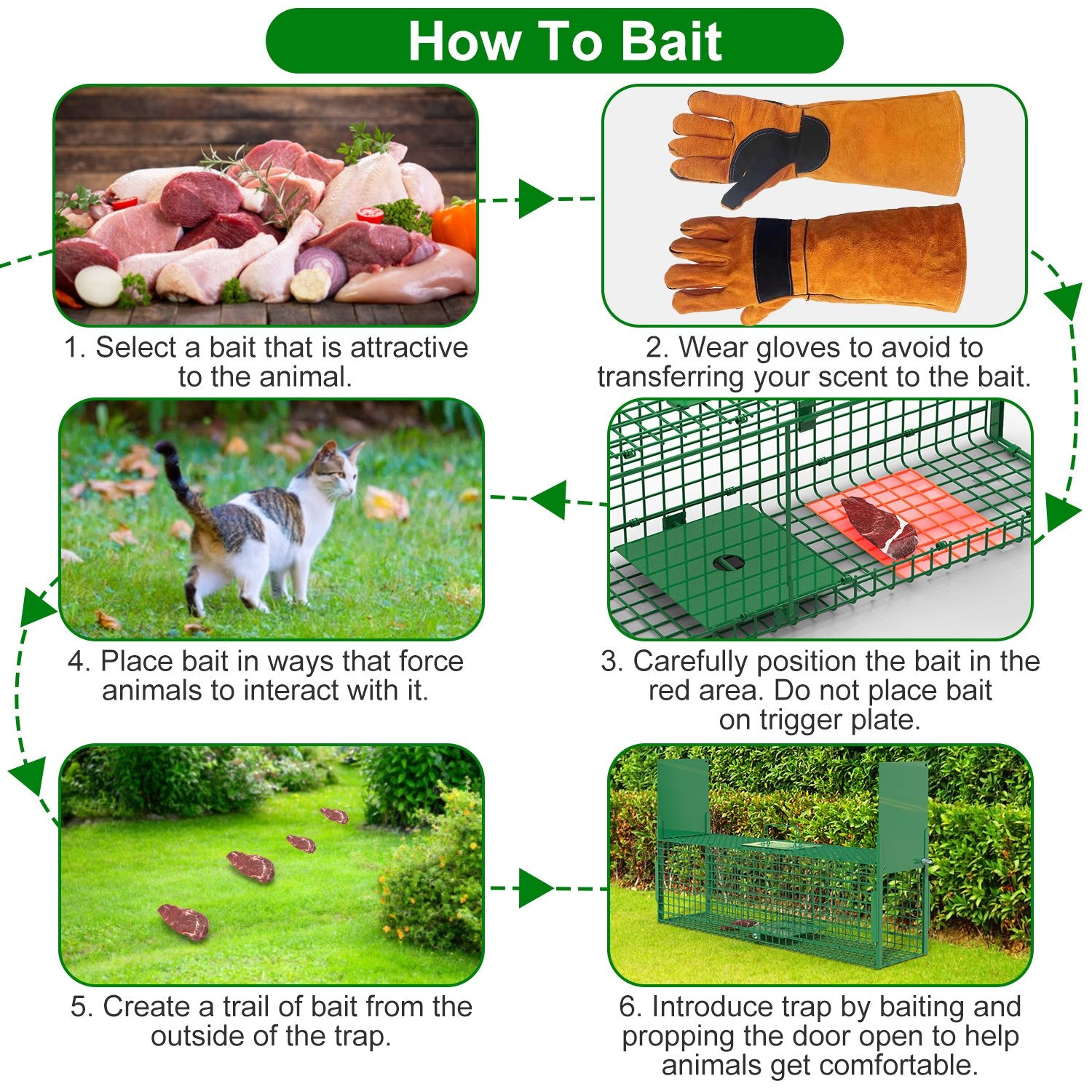 32in 2 Door Live Animal Cage Trap With Glove Green For Animals Under 12LBS Easy To Setup Humane Galvanized Iron Trap Cage For Rabbits Groundhogs Skunk Opossums Nutria Stray Cats