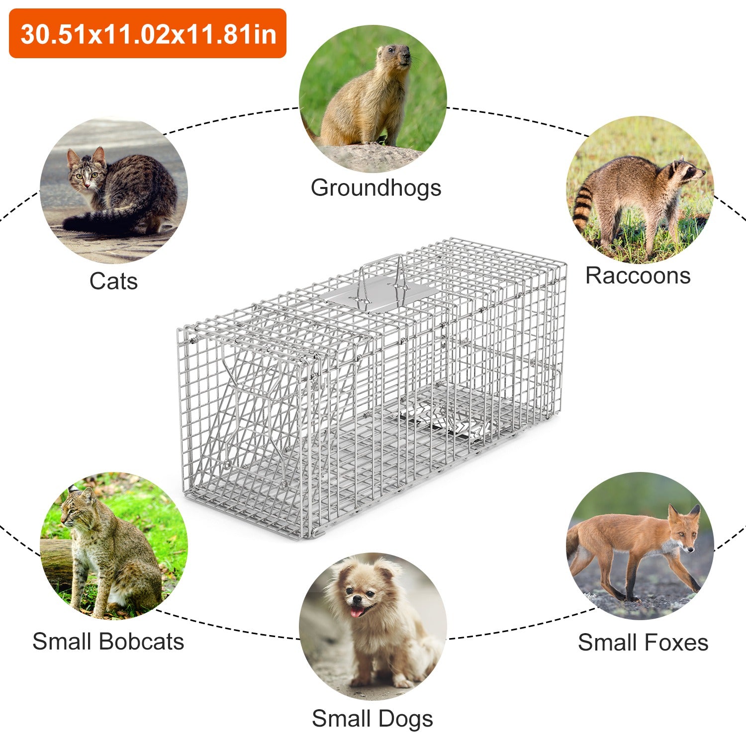 1Pc Humane Cat Trap Cage Catch Release Live Animal Rodent Cage Collapsible Galvanized Wire For Raccoons Beavers Groundhogs Foxes Armadillos Fedex Shipping